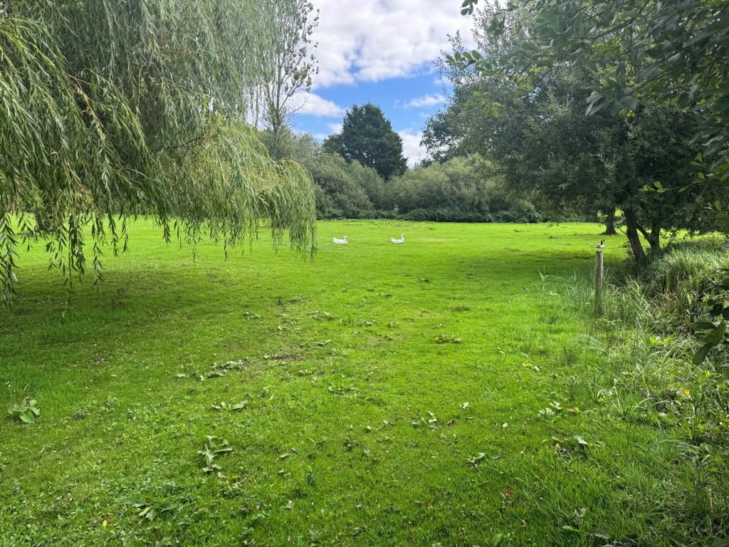 Lot: 71 - FREEHOLD TEN ACRE SITE WITH LAKES AND LODGES - Grassed area